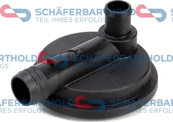 Schferbarthold 319 18 194 01 11 - Supapa control presiune, sistem - Common-Rail aaoparts.ro
