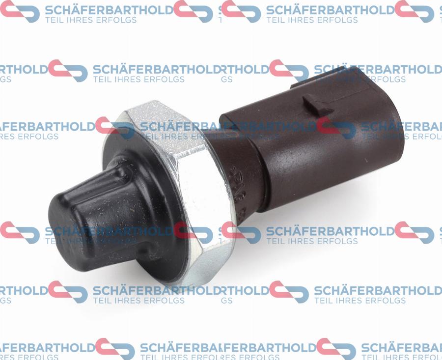 Schferbarthold 319 18 866 01 22 - Senzor,presiune ulei aaoparts.ro