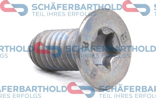 Schferbarthold 315 27 050 01 11 - Surub, disc frana aaoparts.ro