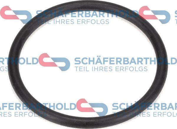 Schferbarthold 316 27 563 01 11 - Garnitura, galerie admisie aaoparts.ro