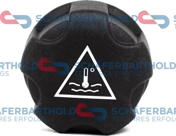 Schferbarthold 310 27 916 01 11 - Buson,vas expansiune aaoparts.ro