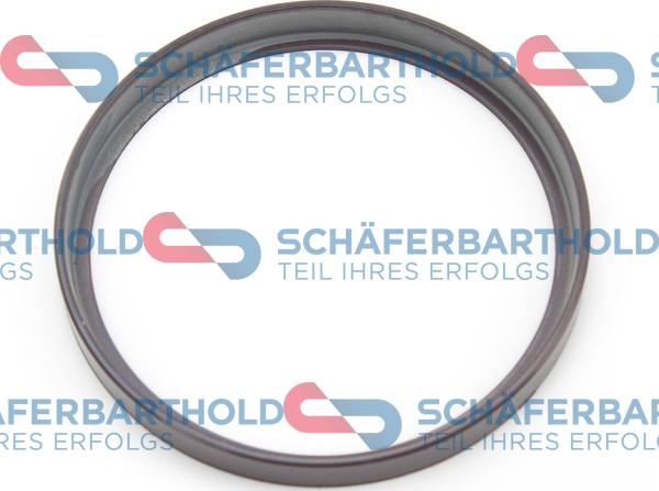 Schferbarthold 310 27 514 01 11 - Inel senzor, ABS aaoparts.ro