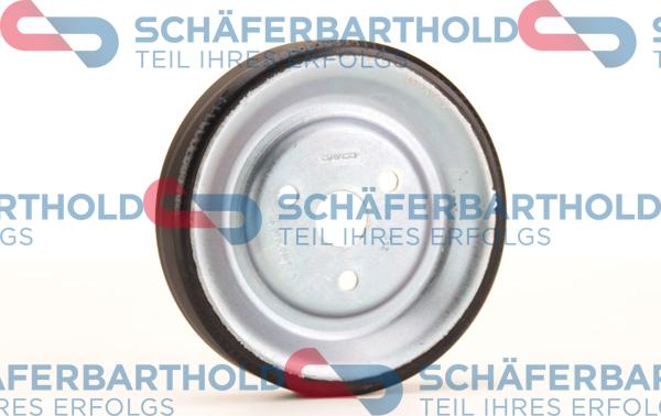 Schferbarthold 310 27 574 01 11 - Fulie, pompa apa aaoparts.ro