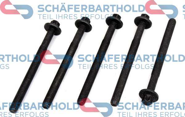 Schferbarthold 310 27 631 01 11 - Surub chiulasa aaoparts.ro