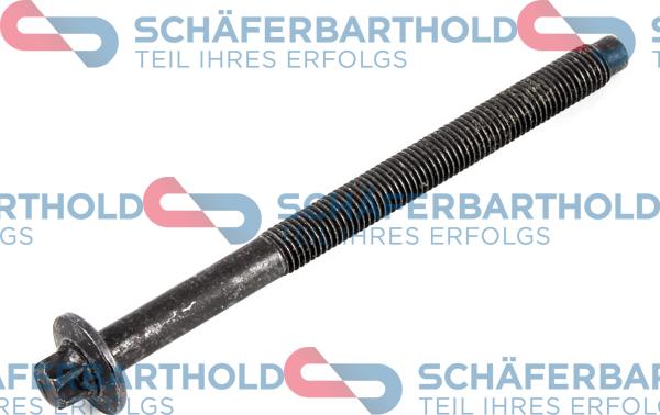 Schferbarthold 310 27 399 01 11 - Surub chiulasa aaoparts.ro