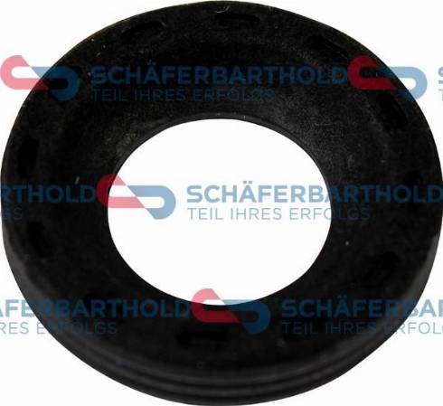 Schferbarthold 313 06 061 01 11 - Inel etansare, injector aaoparts.ro