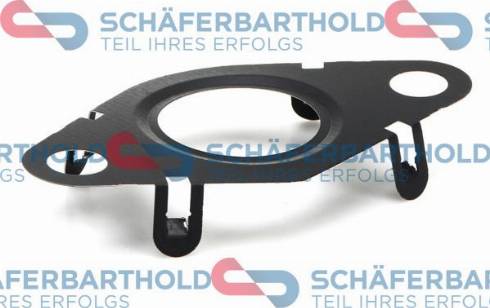 Schferbarthold 313 02 941 01 11 - Garnitura, ventil AGR aaoparts.ro