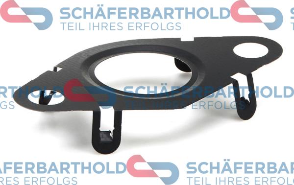 Schferbarthold 313 02 941 01 22 - Garnitura, ventil AGR aaoparts.ro