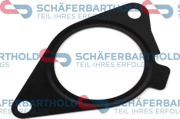 Schferbarthold 313 02 905 01 11 - Garnitura, ventil AGR aaoparts.ro