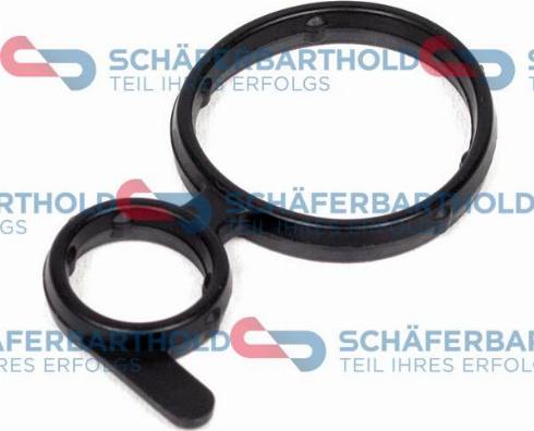 Schferbarthold 313 02 019 01 11 - Inel etansare, injector aaoparts.ro