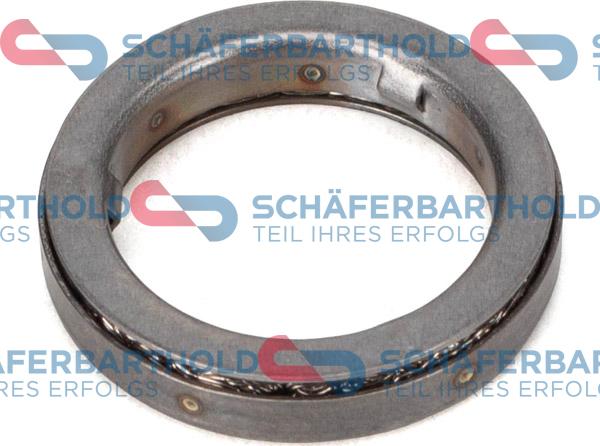 Schferbarthold 313 02 039 01 22 - Scut protectie termica, inst. injectie aaoparts.ro