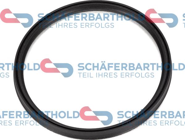 Schferbarthold 313 02 036 01 22 - Inel etansare, furtun aer supraalimentare aaoparts.ro