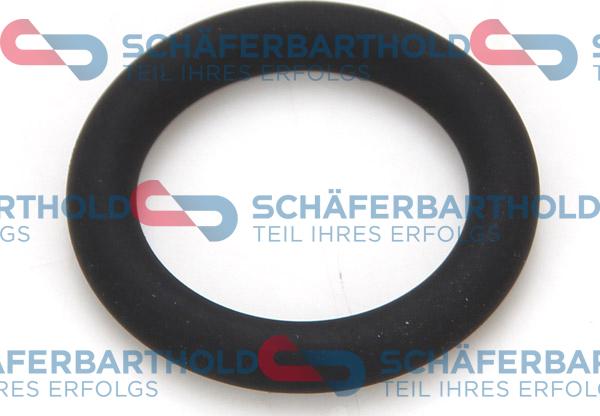 Schferbarthold 313 02 100 01 22 - Garnitura, joja ulei aaoparts.ro