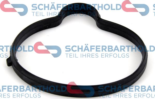 Schferbarthold 313 16 996 01 11 - Garnitura termostat aaoparts.ro