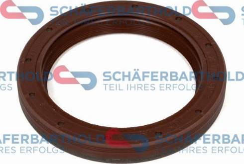 Schferbarthold 313 16 450 01 22 - Simering ,pompa ulei aaoparts.ro