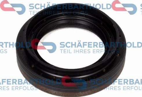 Schferbarthold 313 16 451 01 22 - Simering, diferential aaoparts.ro
