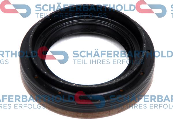 Schferbarthold 313 16 419 01 11 - Simering, diferential aaoparts.ro