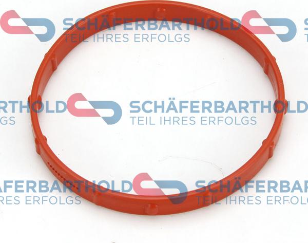Schferbarthold 313 16 003 01 11 - Garnitura, Carcasa galerie admisie aaoparts.ro