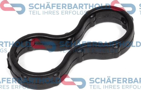 Schferbarthold 313 16 013 01 11 - Garnitura, distributie aaoparts.ro