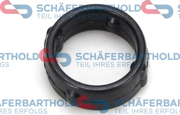 Schferbarthold 313 16 012 01 11 - Garnitura, distributie aaoparts.ro