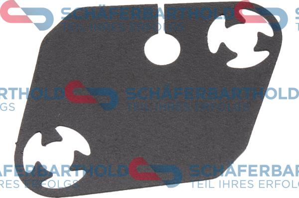 Schferbarthold 313 16 106 01 22 - Garnitura, Intinzator lant de distributie aaoparts.ro