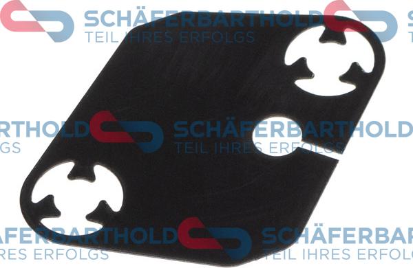 Schferbarthold 313 16 101 01 11 - Garnitura, Intinzator lant de distributie aaoparts.ro