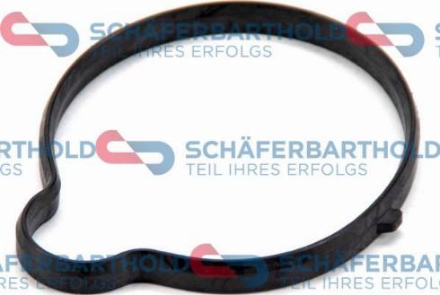 Schferbarthold 313 16 896 01 22 - Garnitura termostat aaoparts.ro