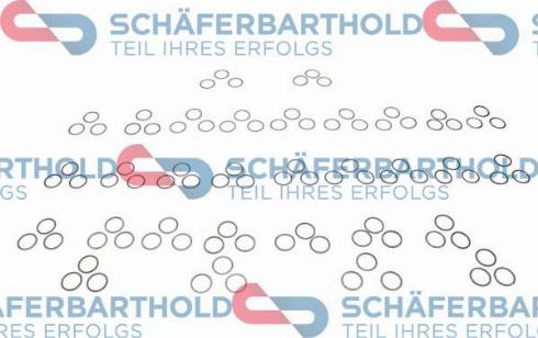 Schferbarthold 313 16 800 01 11 - Set reparatie, transmisie manuala aaoparts.ro
