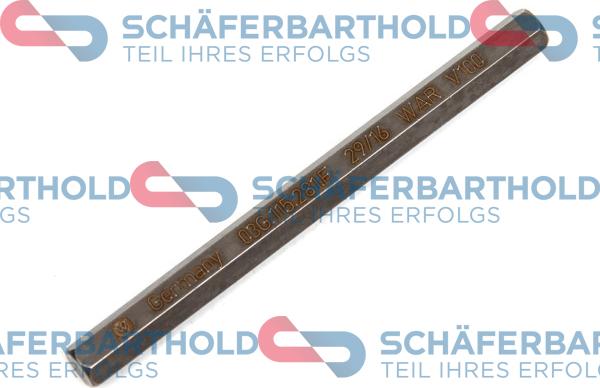 Schferbarthold 313 18 596 01 11 - Arbore antrenare, Pompa ulei aaoparts.ro