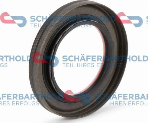 Schferbarthold 313 18 030 01 11 - Simering, diferential aaoparts.ro