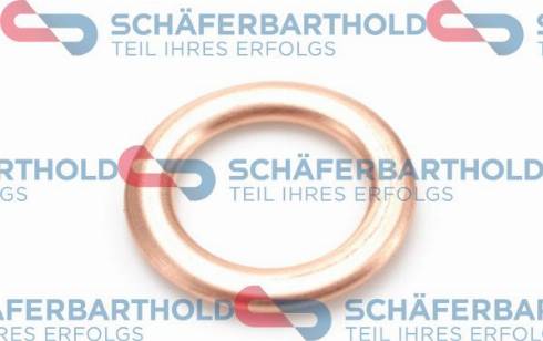 Schferbarthold 313 26 063 01 11 - Inel etansare, surub drena ulei aaoparts.ro