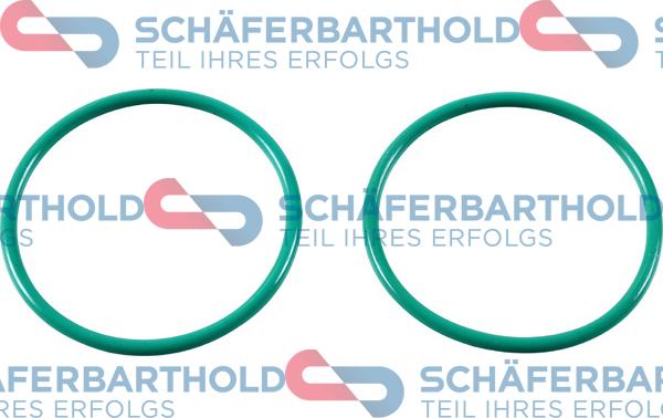 Schferbarthold 313 27 907 01 11 - Garnitura, galerie admisie aaoparts.ro