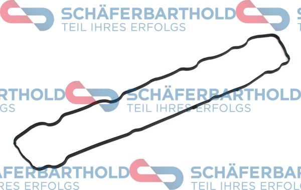 Schferbarthold 313 27 926 01 11 - Garnitura, capac supape aaoparts.ro