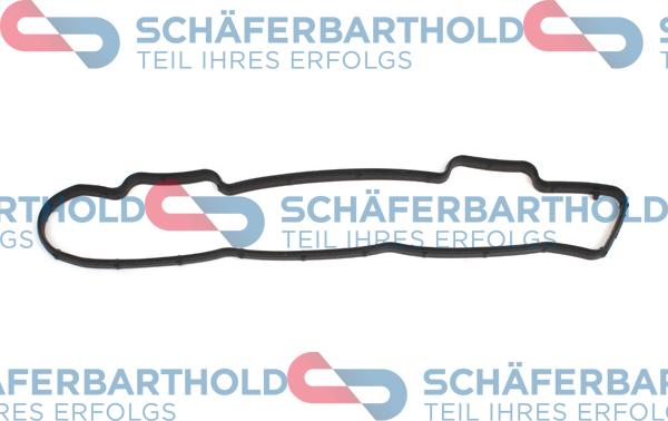 Schferbarthold 313 27 515 01 11 - Garnitura, capac supape aaoparts.ro