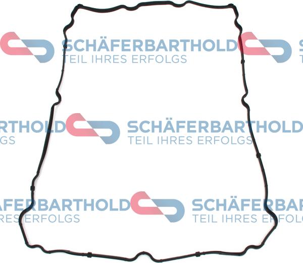 Schferbarthold 313 27 517 01 11 - Garnitura, capac supape aaoparts.ro