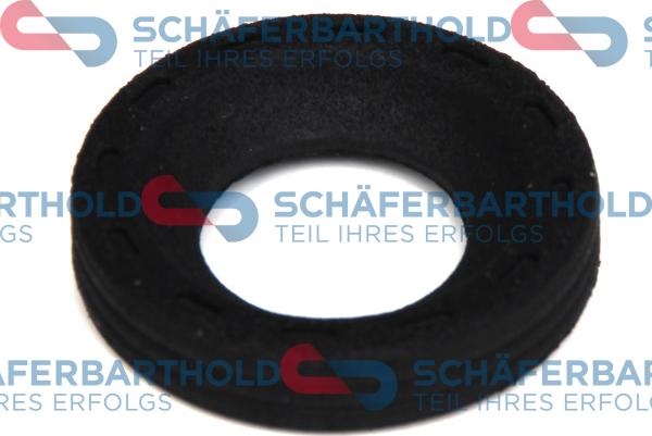 Schferbarthold 313 27 609 01 22 - Inel etansare, injector aaoparts.ro