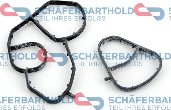 Schferbarthold 313 27 613 01 11 - Garnituri, carcasa filtru ulei aaoparts.ro