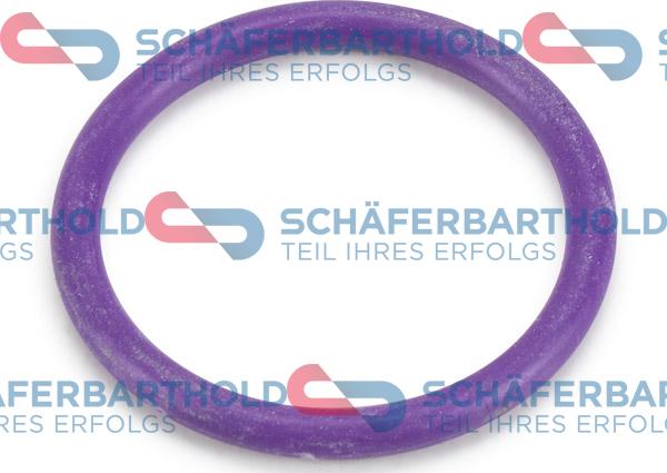 Schferbarthold 313 27 096 01 11 - Garnitura,teava lichi de racire aaoparts.ro