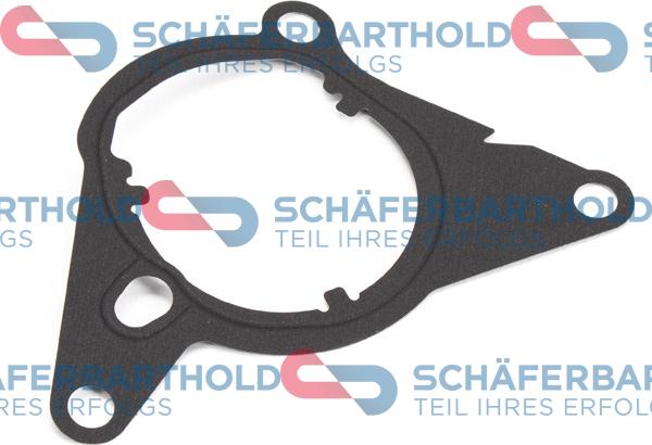 Schferbarthold 313 27 098 01 11 - Garnitura, pompa vacuum aaoparts.ro
