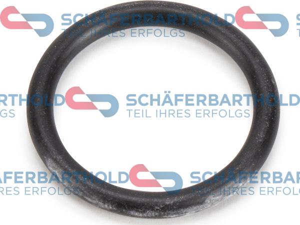 Schferbarthold 313 27 097 01 11 - Garnitura, carcasa termostat aaoparts.ro