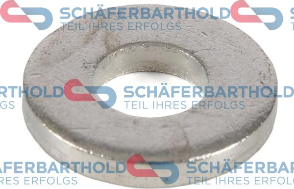 Schferbarthold 313 27 039 01 11 - Inel etansare, injector aaoparts.ro