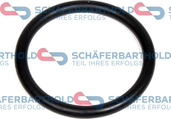 Schferbarthold 313 27 025 01 11 - Garnitura termostat aaoparts.ro