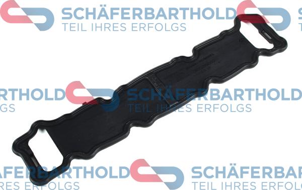 Schferbarthold 313 27 020 01 11 - Garnitura, capac supape aaoparts.ro