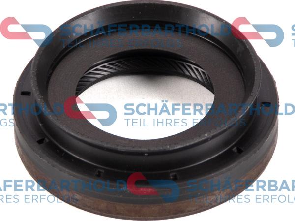Schferbarthold 313 27 119 01 11 - Simering, diferential aaoparts.ro