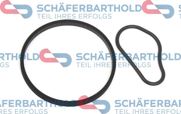 Schferbarthold 313 27 300 01 11 - Set etansare, pompa vacuum aaoparts.ro
