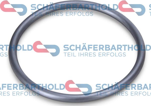 Schferbarthold 317 18 984 01 11 - Garnitura,aerisire bloc motor aaoparts.ro