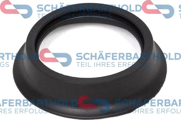 Schferbarthold 317 18 450 01 11 - Garnitura, capac alimemtare ulei aaoparts.ro