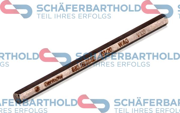 Schferbarthold 317 18 022 01 11 - Arbore antrenare, Pompa ulei aaoparts.ro