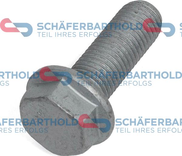 Schferbarthold 317 18 770 01 22 - Surub, etrier aaoparts.ro