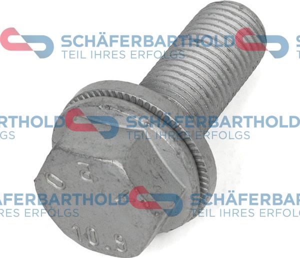Schferbarthold 317 18 771 01 11 - Surub, etrier aaoparts.ro